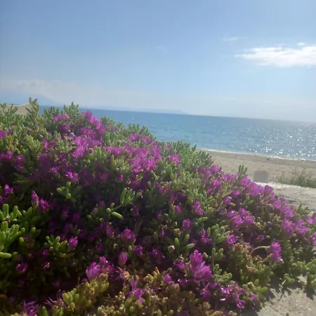 Musses House Βρασνά