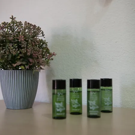 Musses House 4* Βρασνά